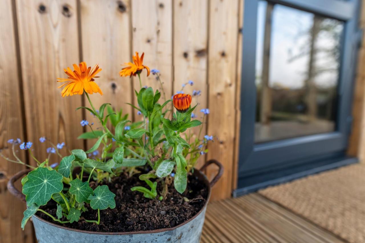 Luxury Glamping Cabin With Outdoor Bath On Cornish Flower Farm Truro Exterior photo